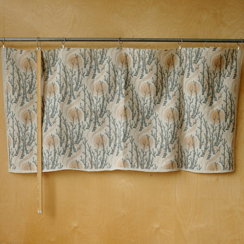 Birch Tree Sun fabric