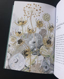 The Book of Pebbles - Angie Lewin - St. Jude's Fabrics & Wallpapers